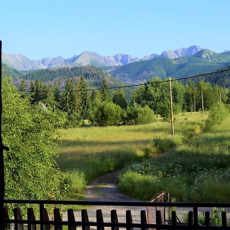 Pensjonat U Doroty, Zakopane - Twoje Miejsce W Gorach 외부 사진