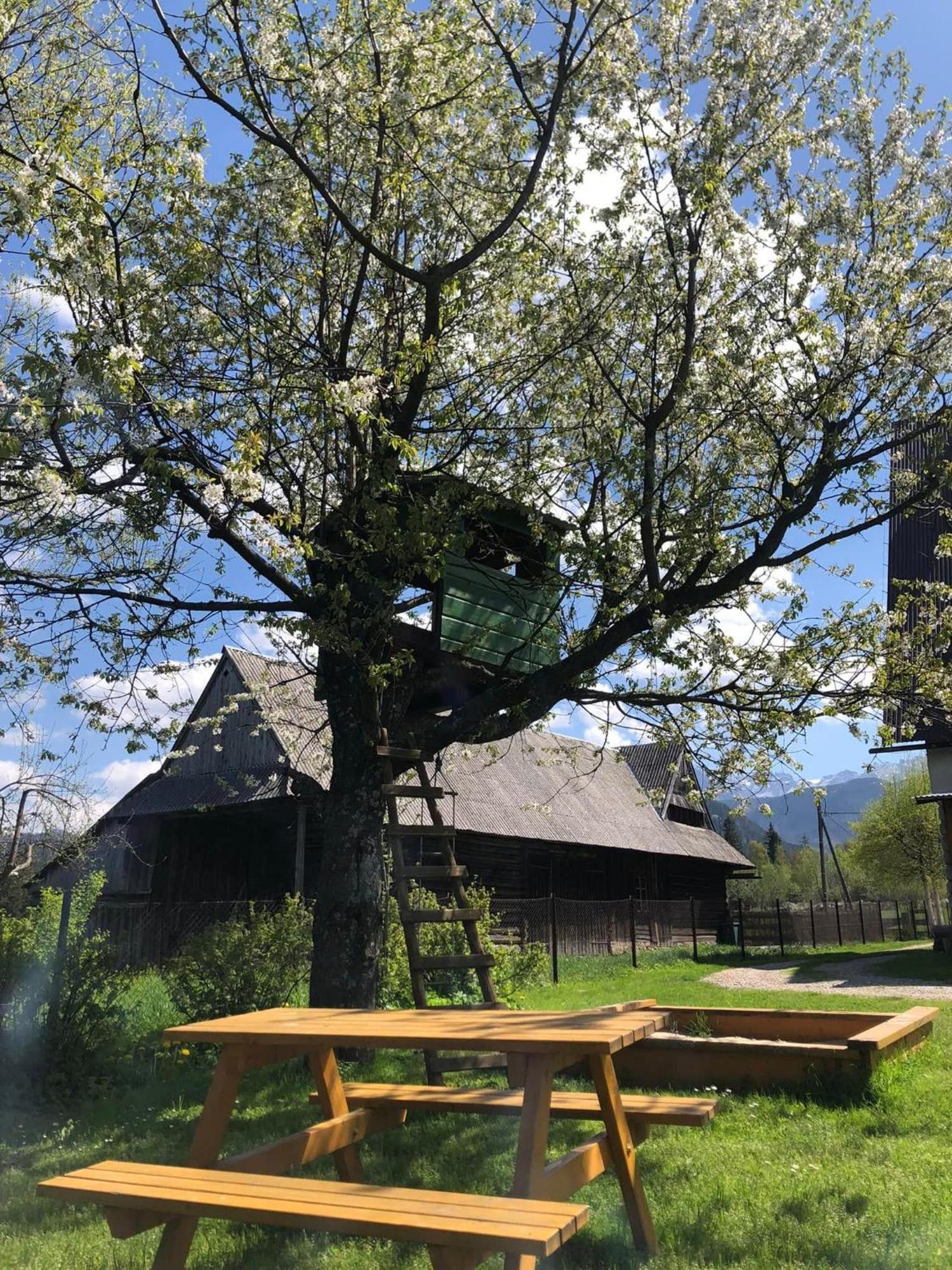 Pensjonat U Doroty, Zakopane - Twoje Miejsce W Gorach 외부 사진